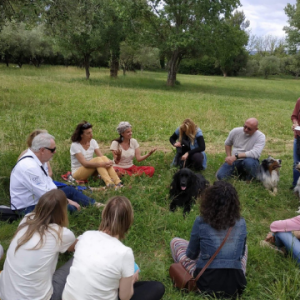 Journée de Pratique